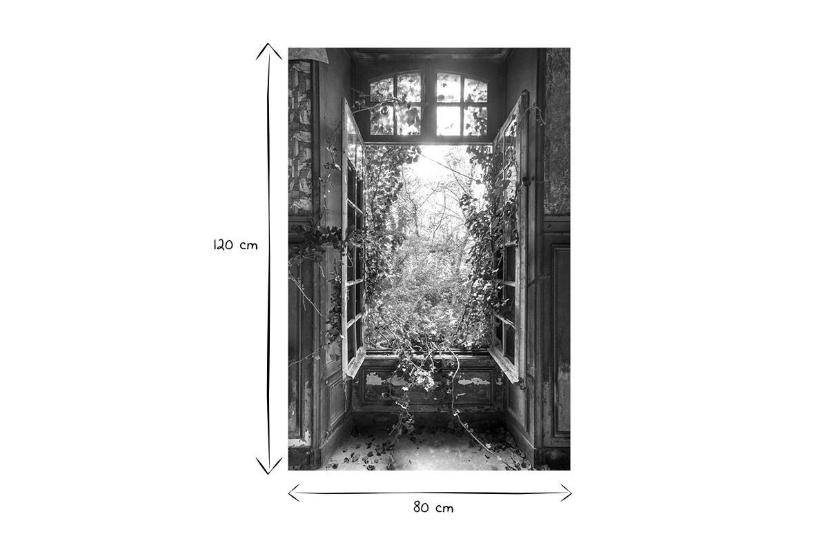 Cadre photo nature style urbex en plexiglas L80 x L120 cm LIERE
